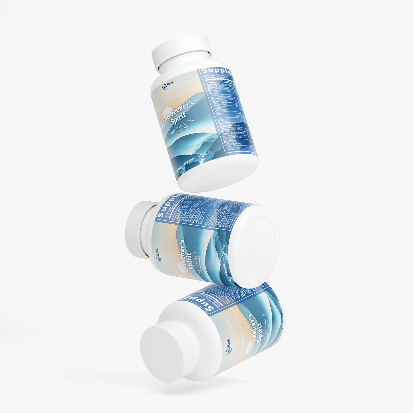 The Seeker's Spirit Veylins