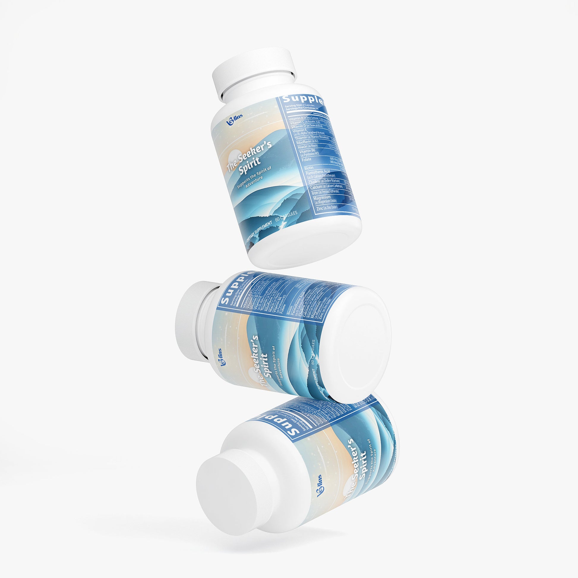 The Seeker's Spirit Veylins